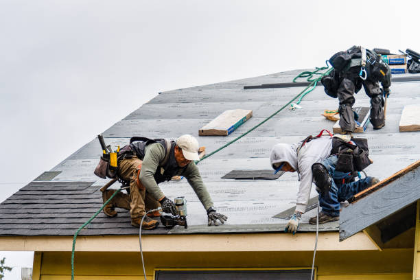Professional Roofing technician working in Carlisle, IA